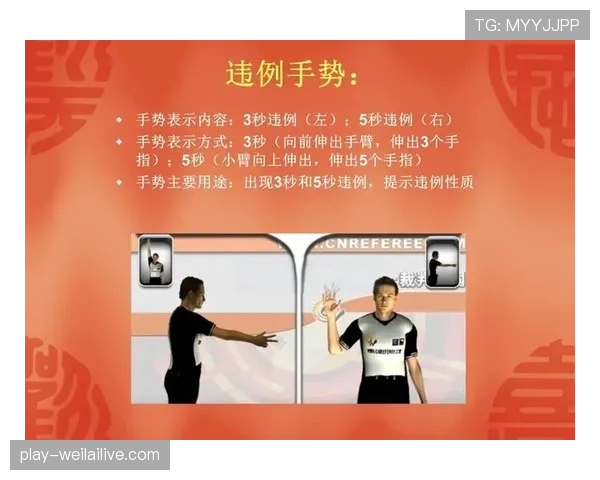 篮球裁判手势详解：看懂判罚不再难