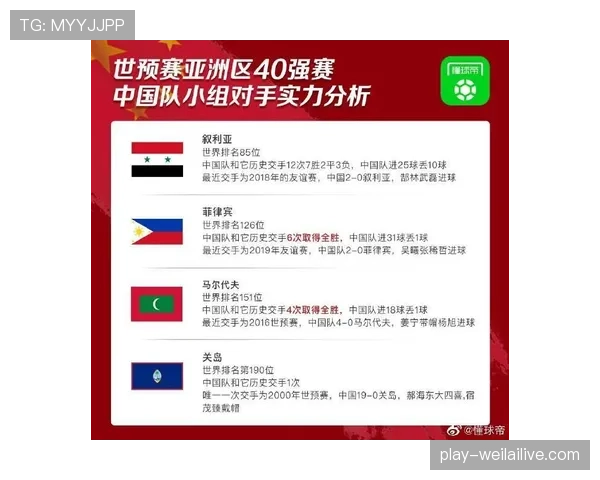 世界杯B组竞争格局全面解析